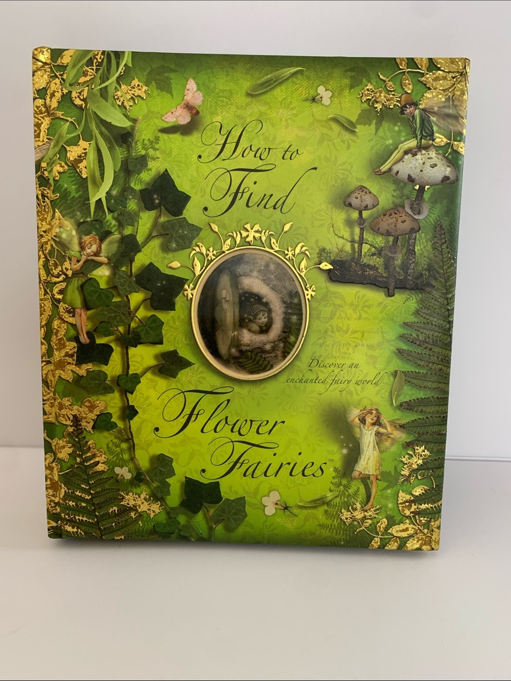 Whimsical, How to Find Flower Fairies Illustrated Book - Green and gold Cover